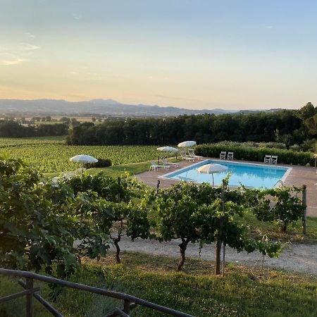 Poggio Alle Vigne Torgiano Exteriör bild