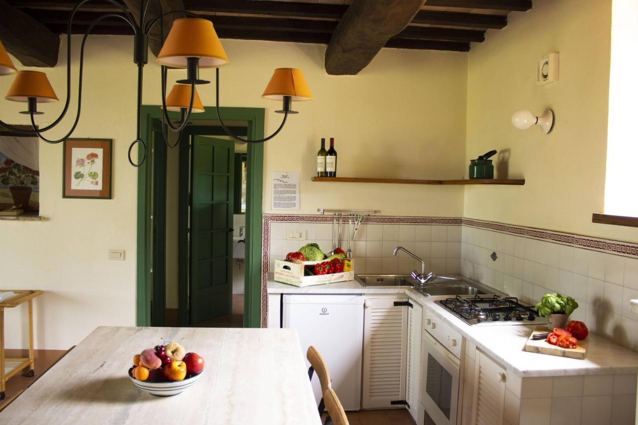 Poggio Alle Vigne Torgiano Exteriör bild