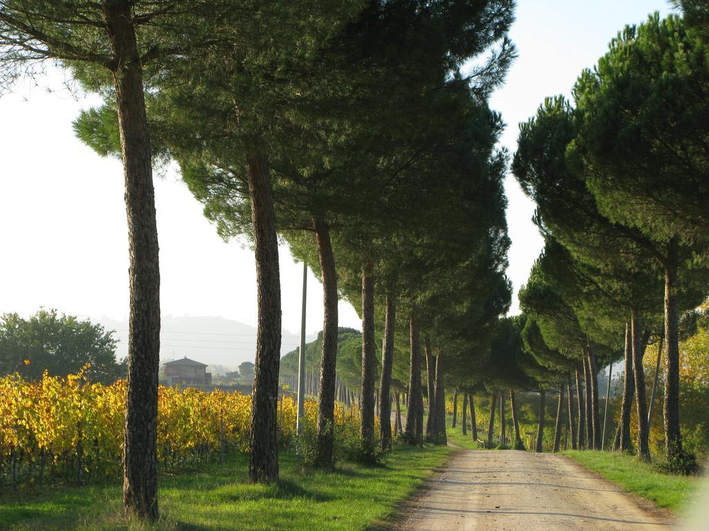 Poggio Alle Vigne Torgiano Exteriör bild