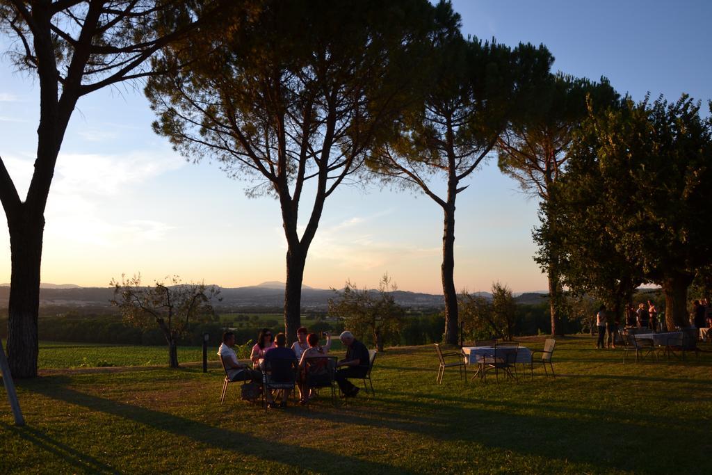 Poggio Alle Vigne Torgiano Exteriör bild