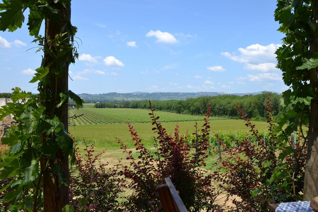 Poggio Alle Vigne Torgiano Exteriör bild